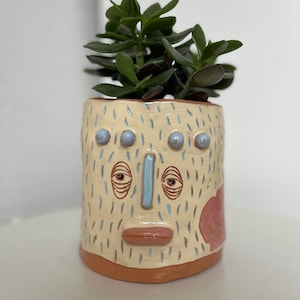 Puede incluir: Una maceta de cerámica con una cara pintada a mano, que presenta ojos azules, una nariz azul y una boca rosa. La maceta está decorada con líneas azul claro y blancas y tiene un borde marrón claro. Una pequeña planta suculenta verde está creciendo en la maceta.
