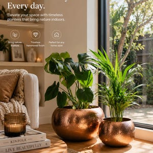 May include: Two round, copper-coloured metal planters with a hammered texture. The larger planter holds a monstera plant, and the smaller planter holds a palm plant. Text on the image reads: Effortless beauty. Every day. Elevate your space.