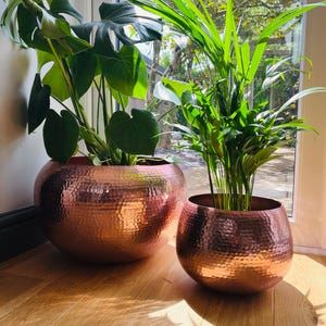 May include: Two copper-coloured, hammered metal planters, one large and one smaller, each holding lush green plants. The planters sit on a wooden floor, with sunlight streaming in from a window in the background.