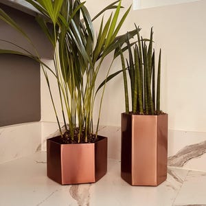 May include: Two copper-toned, hexagonal plant pots, each containing greenery. The left pot holds a palm-like plant with long, green leaves. The right pot contains snake plants with upright, green and yellow foliage. The pots sit on a marble surface.