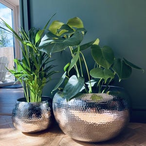 May include: Two silver, hammered metal plant pots, one large and one smaller, each filled with lush green plants. The pots have a textured surface and a rounded shape. The plants include large-leafed Monstera and tall, thin-leafed varieties. The pots are a stylish addition.