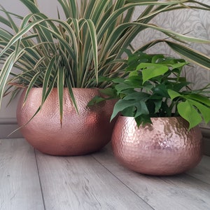 May include: Two potted plants in hammered copper pots. The larger pot is a light copper colour and holds a green and white striped plant. The smaller pot is a darker copper colour and holds a green leafy plant.