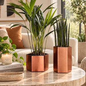 May include: Two hexagonal copper planters with a metallic finish. One planter holds a tall green palm plant with slender fronds, while the other contains a Sansevieria plant with upright, cylindrical, dark green leaves with light green bands.