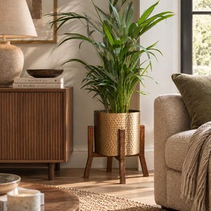May include: A tall green palm plant housed in a cylindrical, hammered gold-tone metal planter. The planter is supported by a dark brown wooden stand featuring four legs that cross in the centre to hold the pot securely above the floor.
