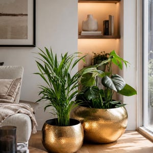 May include: Two round, hammered gold metal planters with a reflective finish. The smaller planter on the left holds a tall, slender green palm plant, while the larger planter on the right contains a lush green monstera plant with broad leaves.