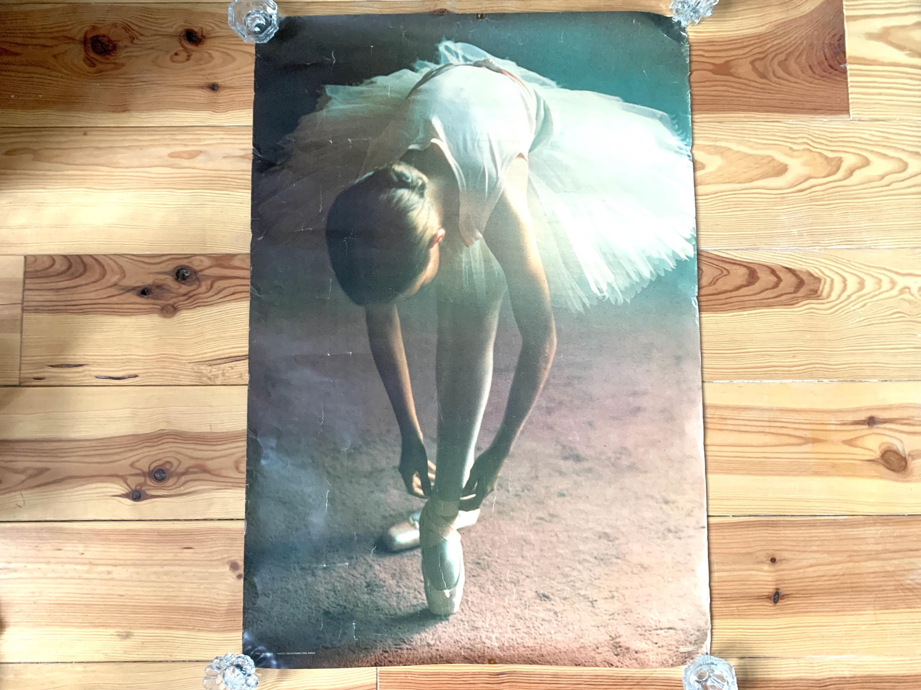 David hamilton - Etsy 日本