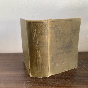 Encyclopedie des Ouvrages De Dames Antique Embroidery French Book 19th century