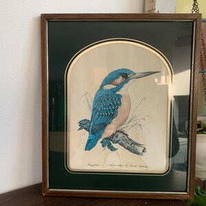 David Andrews Vogel Eisvogel Holzrahmen Wandbehang Botanical Vintage Blue