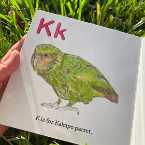 Parrot Abc's Children's Board Book - Picture Book - English Alphabet ...