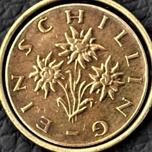 Austria Bronze 3 Edelweiss Flowers