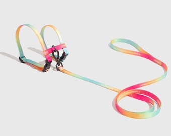 rainbow cat harness