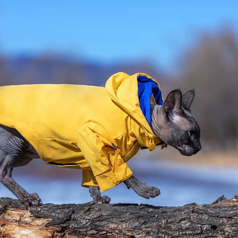 Stylish CAT Rain JACKET Waterproof Cat Coat Yellow Vintage 