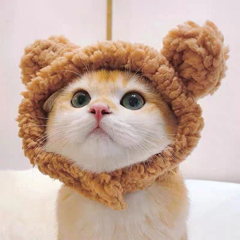Cute Black Cat Design Pet Hat Funny Cat Headgear Pet Decoration Headwear  For Photo Props - Temu