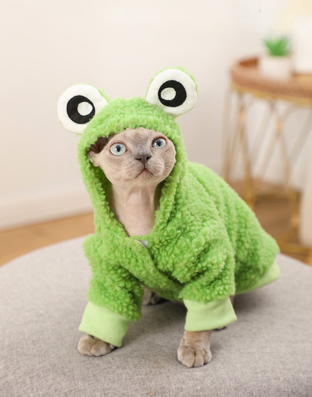 Sphynx Cat Clothescat Frog Sweater Hoodiehoodie for Sphynx Etsy