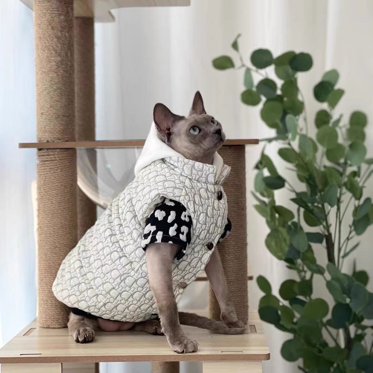 Luxury Knitted Cat Winter Coat  Fashionable Designer Cat Clothes
