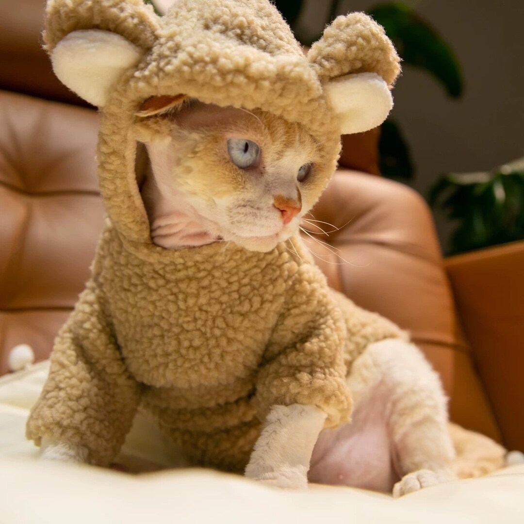 Fleece Vest for Sphynx Catsphynx Cat Clothesfleece Etsy Australia