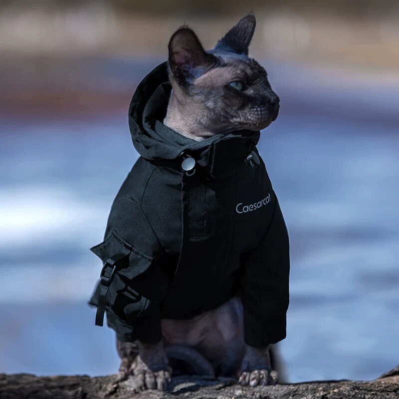 The Cat Face Jacket  The North Face Jacket for Sphynx, Jacket for Cat
