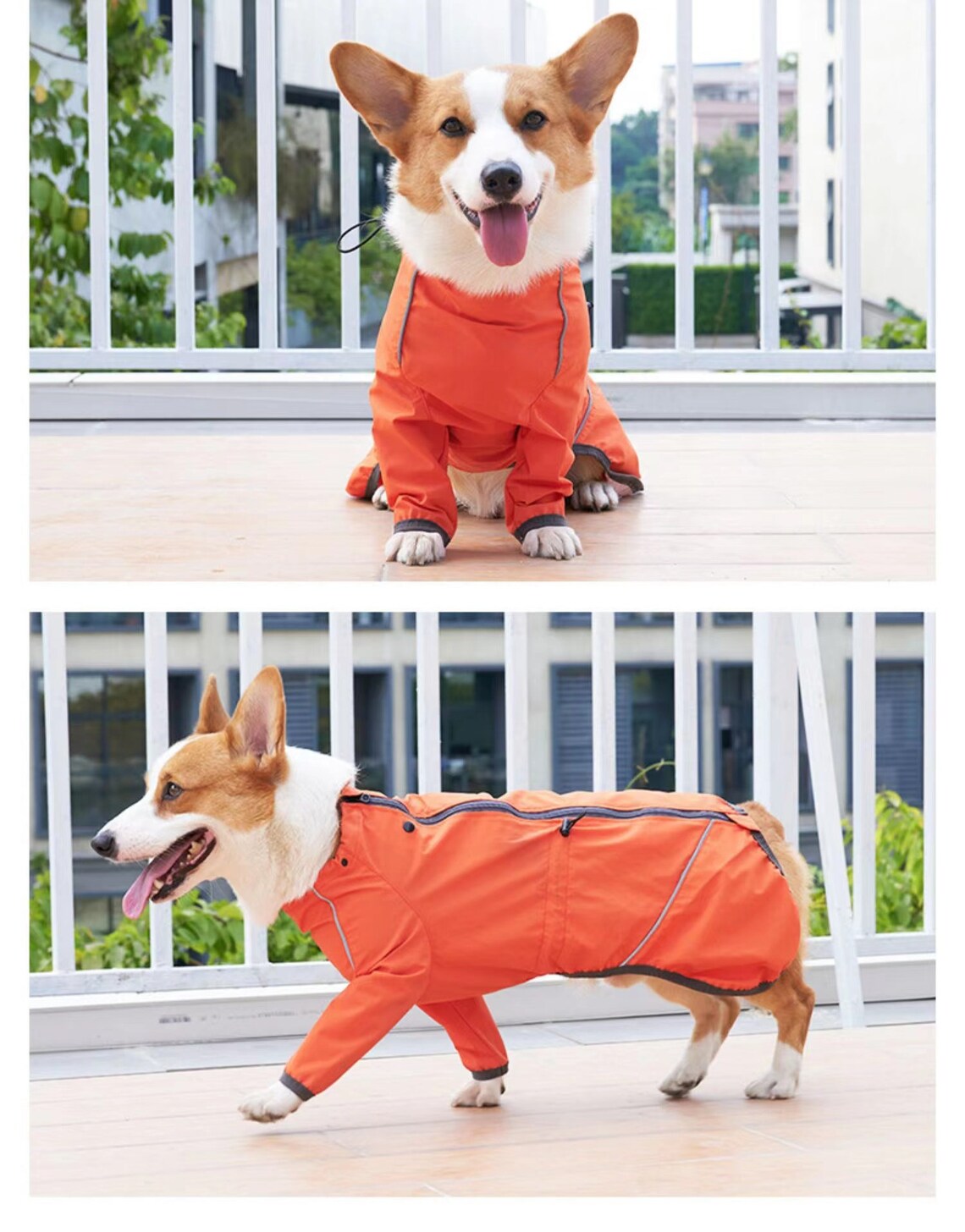 Dog Raincoatdog Jumpsuitwaterproof Rain Jacket for Etsy