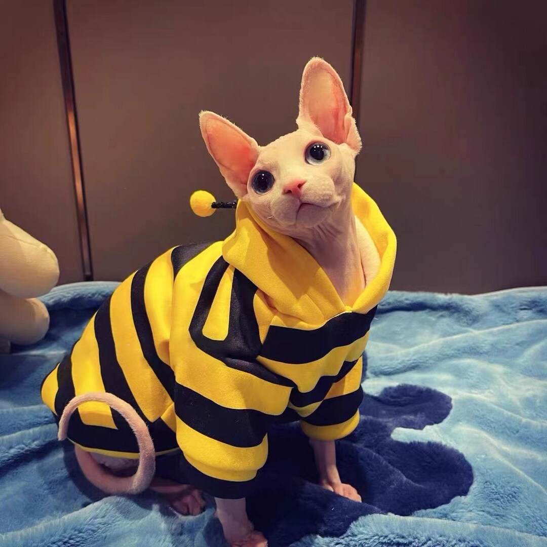 Sphynx Cat Clothescat Bee Hoodiehoodie for Sphynx Catcat Etsy