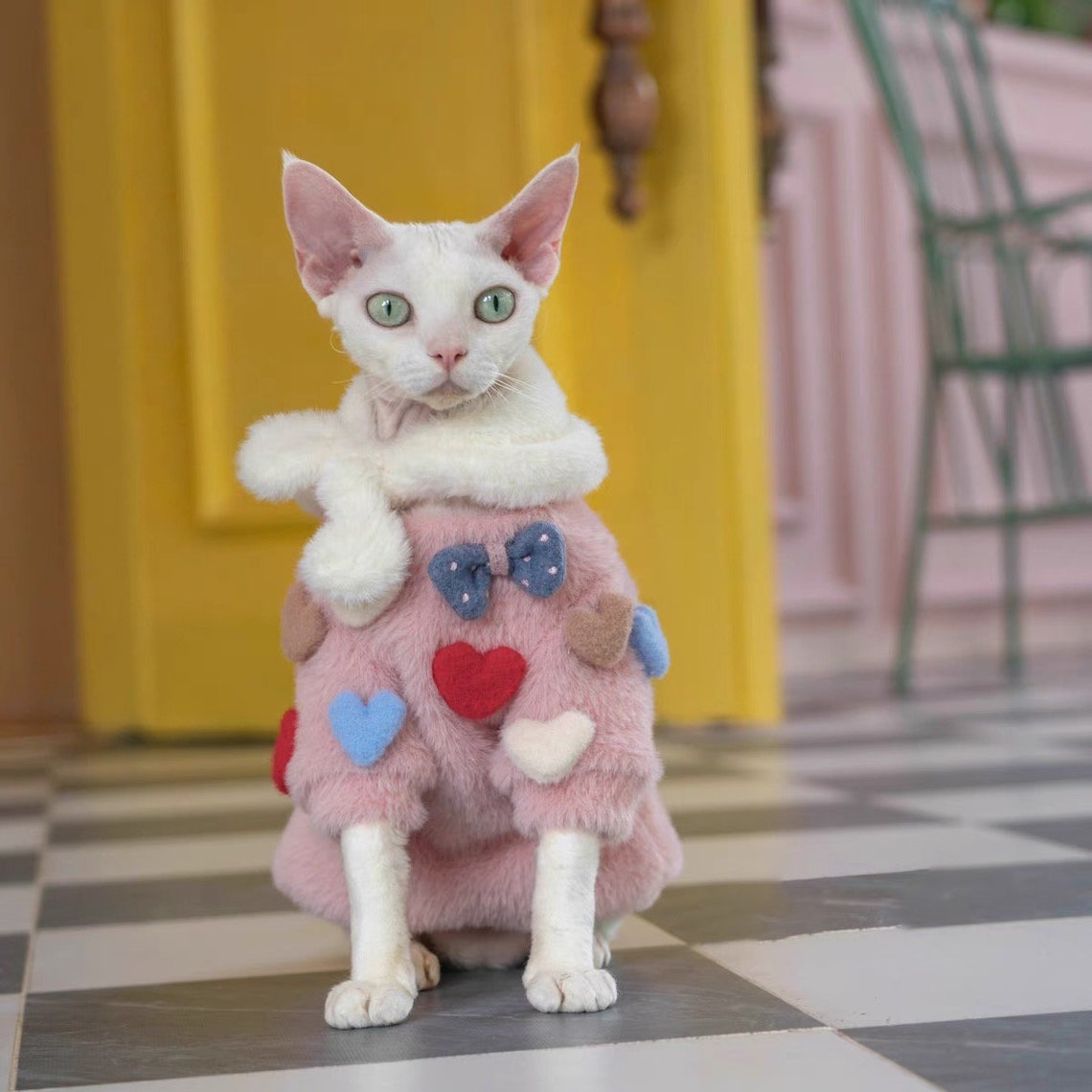 Sphynx Cat Sweatersphynx Cat Clothesjumpsuit for Sphynx Etsy