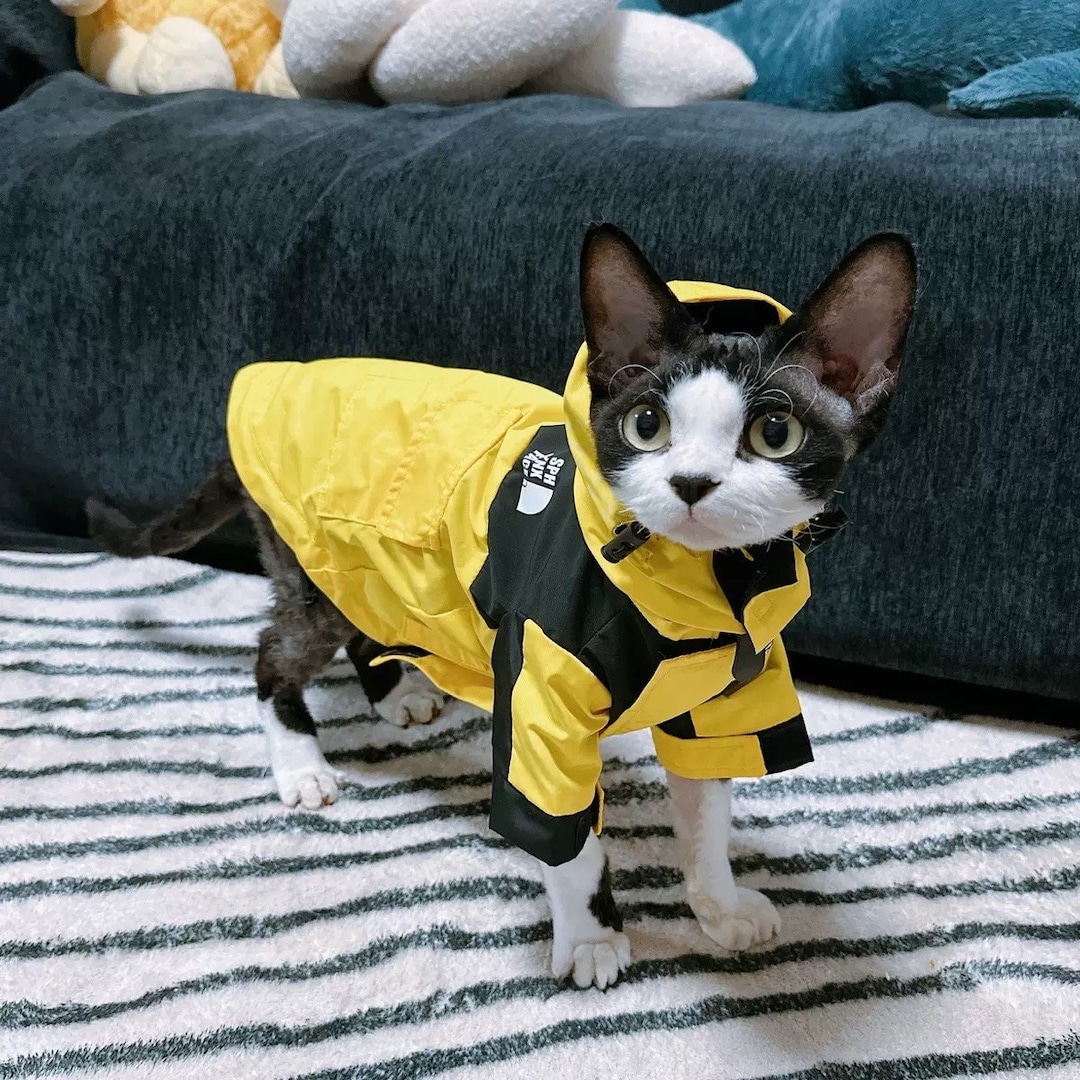 Cat Raincoatwaterproof Rain Jacket for Catstylish Cat Rain Etsy