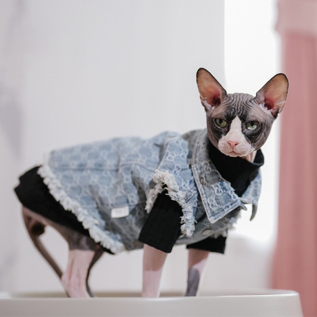 Sphynx Cat Denim Jacket and Black Jumper Setcat Clothes Etsy