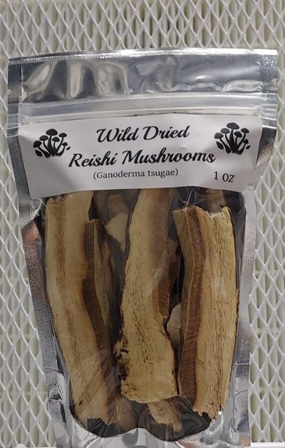 Dried Reishi Mushroom Slices Etsy