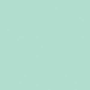 Confetti Cotton™ Hint of Mint by Riley Blake Designs C120-HINTOFMINT