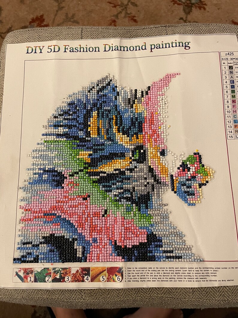 Completed Diamond Paintings Framed or Un Framed Etsy