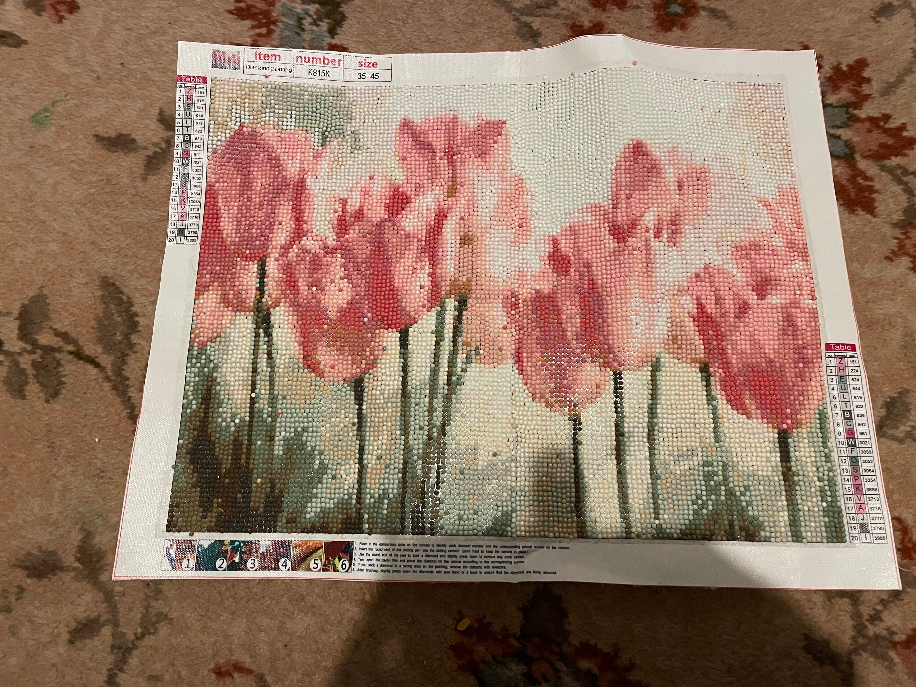 Completed Diamond Paintings Framed or Un Framed Etsy