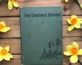 Our Country’s Flowers and How to Know Them by W. J. Gordon, illustrated by John Allen, Day & Son, Victorian floral antique book