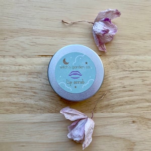 Natural Lip Scrub (30mL)