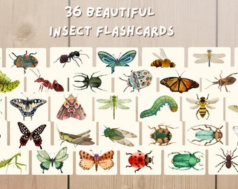 Beautifully Illustrated Insect Flashcards, Closeup Bug Investigator Activity, Montessori Printable, Toddler Pattern Matching, Nature Study