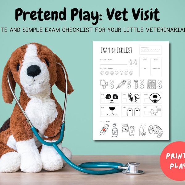 Pretend Play Veterinarian Printable, Vet Printable, Pet Checkup, Pre-K Homeschool, Montessori PDF, Kids Downloads, Dramatic Play, Smallworld