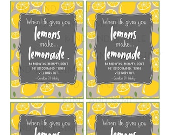 Cuando la vida te da limones