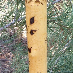 Walking Stick Pair Privet and Redbud 109.00 Fancy Sticks His And Hers LARP Hiking Assist Wood Burned Art Pyrography Medium Sticks Deal Alert
