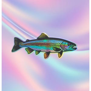 Orvis Trout - Etsy