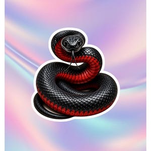 May include: A coiled snake sticker featuring a glossy black upper body with a vibrant red underbelly and a forked tongue extended. The snake is depicted with detailed scales and a focused gaze, presented against a soft, iridescent pastel background.