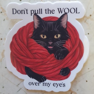 Kätzchen um Wolle gewickelt mit Spruch Zieh nicht die Wolle über meine Augen