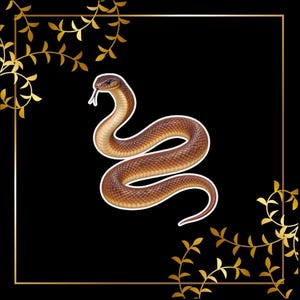 May include: A brown snake with a textured scale pattern and a visible forked tongue, centred within a black square frame featuring gold-coloured vine-like decorative elements in the top-left and bottom-right corners of the border.