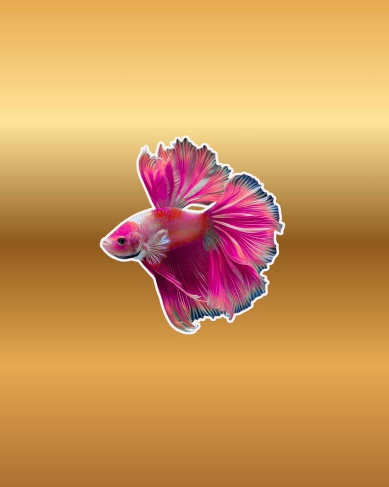 Betta Fish Sticker: Vibrant Tropical Siamese Fighting Fish Decal ...