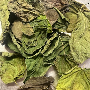 Whole Dried Mulberry Leaves