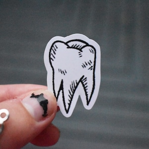 Boygenius Tooth Sticker| Teeth Sticker| Boygenius Band| Boygenius Stickers| Phoebe, Lucy and Julien Stickers| Phoebe Bridgers| Sticker|