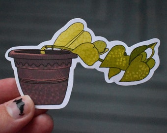 Pothos Plant Sticker| Plant Stickers| Sticker| Sticker| Nature Sticker| Pothos Plant| Scrapbook Sticker| Waterproof Sticker| Plants| Pothos|