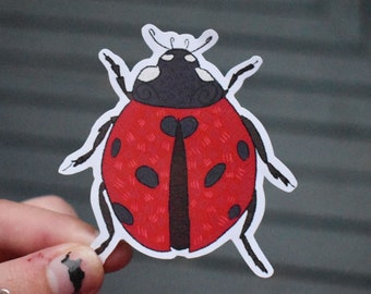 Ladybug Sticker| Insect Sticker| Ladybug| Sticker| Stickers| Nature Stickers| Waterproof Sticker| Scrapbook Sticker| Insects| Stickers|