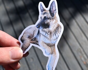 Custom Pet Sticker| Custom Dog/Cat Sticker| Pet Stickers| Pet Owners| Waterproof Sticker| Cute Dog Sticker| Photo Stickers| Cat Stickers|