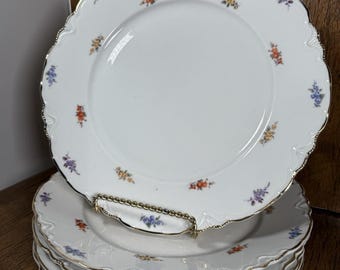 K&A Krautheim Selb Bavaria Germany Floral China Dinner Plates Gold Trim Set Of 6