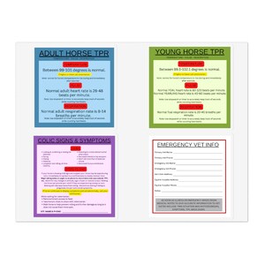 Horse Equine Emergency Sticker Sheets. Adult TPR, Young Horse TPR, Colic Signs, Vet Emergency Info, Horse owners