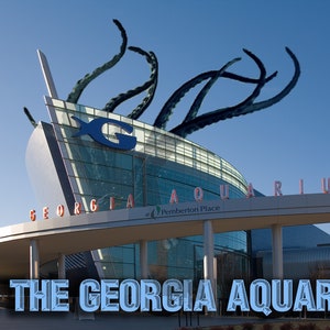 Atlanta Vintage Postkarten: Georgia Aquarium mit Kraken