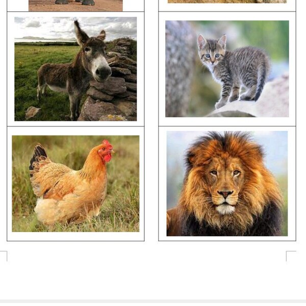 Greek Animal Alphabet Etsy
